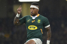Former Springbok Elton Jantjies given four-year doping ban