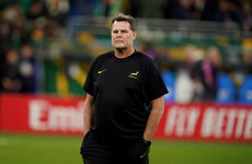 Rassie Erasmus hospitalised with chemical burns in freak accident