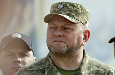 Ukraine's top military commander has been sacked after ‘frank discussion’ with Volodymyr Zelenskyy