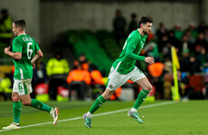 'My great uncle was a famous hurler' - Ireland's newest international
