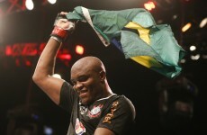 Anderson Silva stops Stephan Bonnar at UFC 153