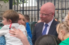 Emotional scenes outside Leinster House as landmark surrogacy and fertility legislation passes