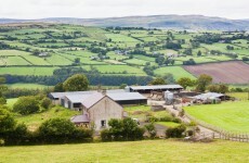 How would you like to see the environment protected?