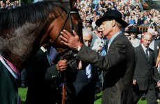 All go for Frankel's swansong at Ascot
