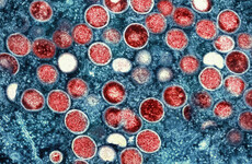 World Health Organisation declares mpox a global public health emergency