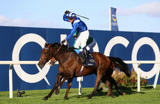 40-1 shot Anmaat stuns Champion Stakes field