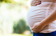 Law to allow TDs and senators take maternity leave passes
