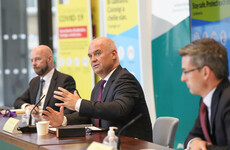 Tánaiste in 'no doubt' that former CMO and NPHET members will appear before Covid inquiry