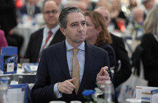Harris in Budapest for EU Council meeting as Greens hit out at ‘sniping’ from coalition partners