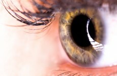 Super-sensitive test lets doctors see disease without microscope