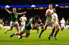 Kolbe at the double as South Africa beat England 29-20