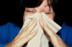 Swine flu cases double in first week of 2011