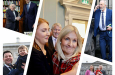 A pickpocketing seagull, a spoiled vote and a resignation - all this on day one of the new Dáil