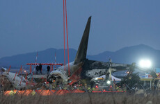 What caused the deadly plane crash in South Korea - and why was there a wall where it landed?
