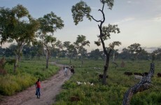 South Sudan expels UN rights investigator: officials