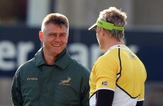 Northern lights: Meyer 'concerned' by South African exodus to Ireland