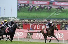 Melbourne Cup: Green Moon rises down under