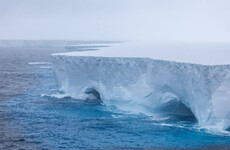 World's largest iceberg - twice the size of London - runs aground in Antarctica