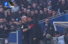Lyon owner backs Fonseca as manager despite 9-month ban for ref altercation