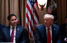 'They get along fantastically well': Trump denies Musk-Rubio clash at White House meeting