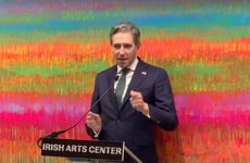 Undocumented Irish not forgotten as Harris says immigration is 'sensitive' topic in US right now