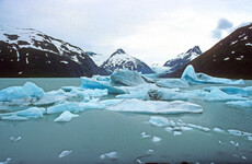 ‘Matter of survival’: All of Earth’s glacier regions shrank again in 2024, says UN