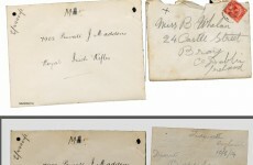 A snapshot of the Irish in World War I