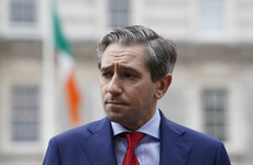 Whistleblower told Simon Harris to ‘shut down’ Farrelly Commission in 2019