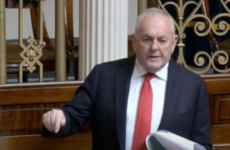 'There's so much wrong with this report': Calls for 'Grace' commission to appear before Oireachtas committee