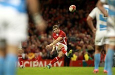 Pumas celebrate Welsh anniversary in style