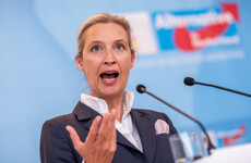 AfD sues German intelligence agency over 'extremist' label