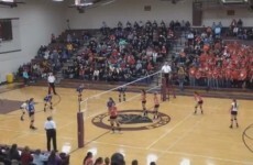 VIDEO: Watch this crazy volleyball spike take out a player and drop a fan too