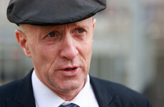 'I like dogs': Healy-Rae says minister can't tell property owners to allow tenants have pets