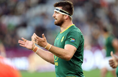 Munster's Kleyn ruled out of Springbok squad due to injury