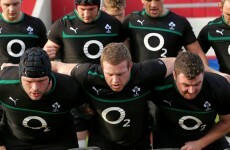 Declan Kidney names much-changed side for Fiji game in Limerick