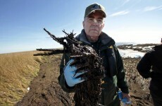 BP agrees €3.52 billion settlement over Gulf of Mexico oil spill