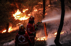 Wildfires rip through Greek islands and mainland as EU aid arrives