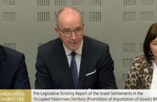 'Smear' campaign against Ireland over Occupied Territories Bill must be tackled, says committee