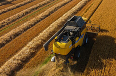 Quiz: How much do you know about harvest time?