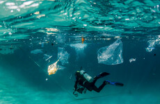 Prolonged plastic pollution talks end with countries at a deadlock