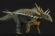 New fossils give palaeontologists picture of one of the 'strangest' dinosaurs ever discovered