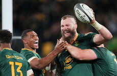 South Africa smash New Zealand in Rugby Championship