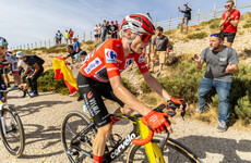 Vingegaard crowned Vuelta champion as final stage abandoned due to pro-Palestinian protests