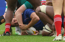 France duo out of World Cup as bans from Ireland game upheld