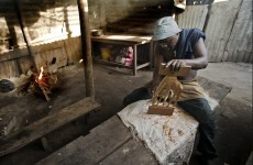 Pictures: Communities in Tanzania reap the benefits of Mpingo tree