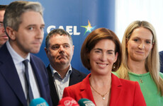 Reshuffle: New Cabinet jobs for Simon Harris, Helen McEntee and Hildegarde Naughton