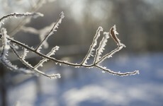 Warnings to motorists over icy roads, freezing fog