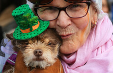 Here's What Happened Today: St Patrick's Day