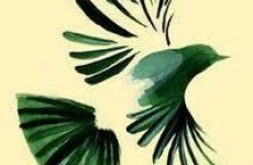 What is the New Ireland movement?