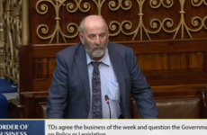 Danny Healy-Rae loses Agriculture Committee seat after voting against government last week